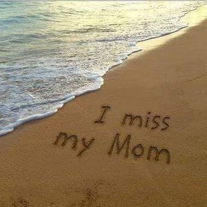 Meet your Posher, Misty